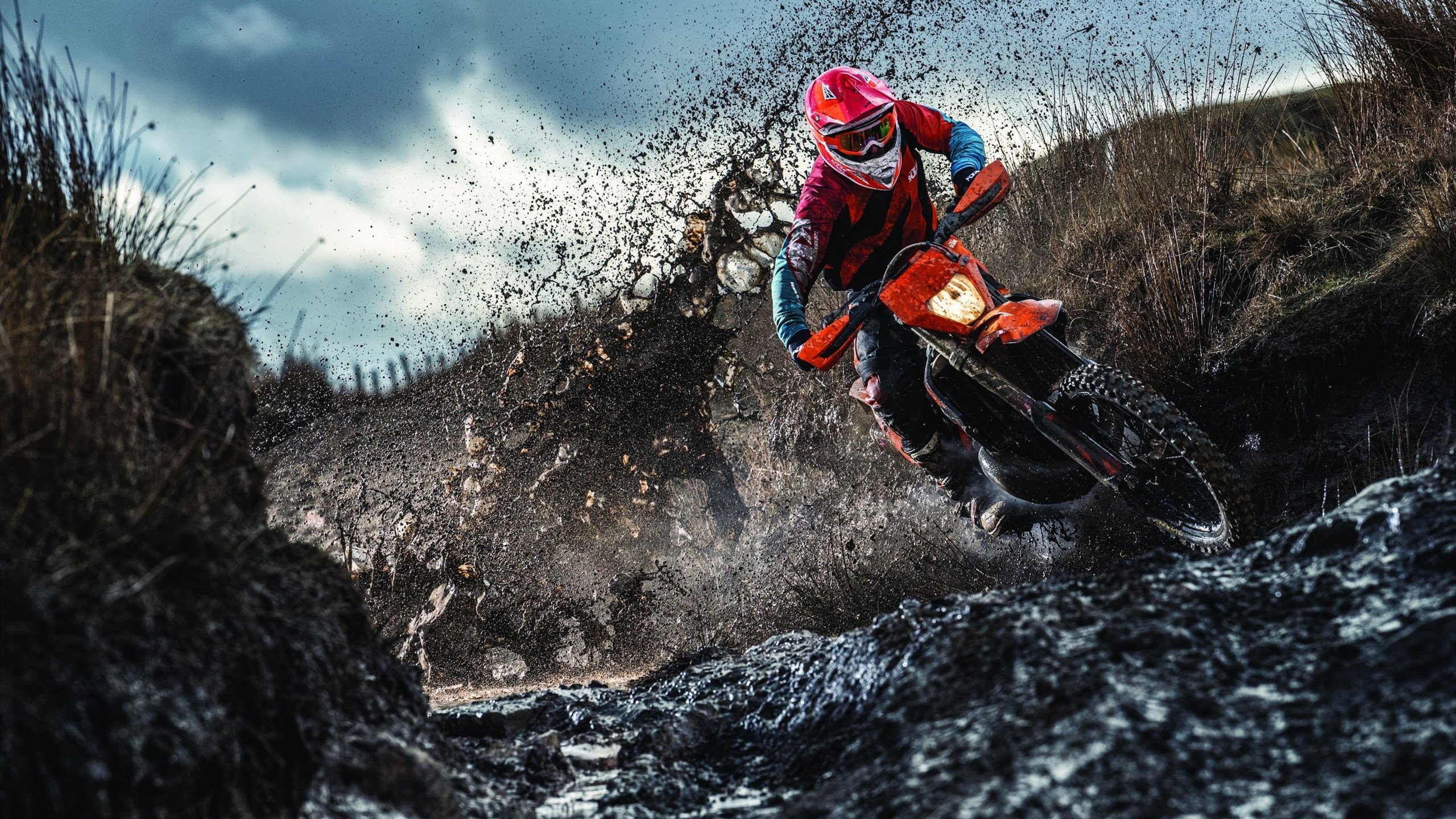 华体会体育网址-高校体育专业创新人才培养,高校体育专业创新人才培养方案