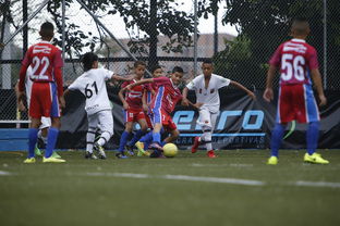 华体会下载-中国足球国家队与地区队伍协作模式分析,中国国家足球队的实力